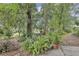 Beautiful backyard with lush greenery and mature trees creating a private oasis at 2132 Palm Vista Dr, Apopka, FL 32712