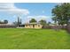 Vast backyard enclosed by wood fencing, showing mature landscaping and a large grassy area surrounding the house at 2704 Yule Tree Dr, Edgewater, FL 32141