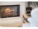Close-up of a fireplace, showcasing the flames, hearth, and decorative accessories at 1417 Terralago Pl, Oviedo, FL 32765