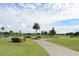Picturesque golf course view with palm trees, lake, and golf carts at 2524 Shadybranch Dr, Orlando, FL 32822