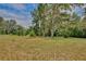 Vast lot with scattered trees, providing a natural and serene environment for a potential new home at 4802 Anton Ave, Apopka, FL 32712