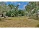 Large grassy area with established trees, providing a serene and picturesque setting for a potential homesite at 4802 Anton Ave, Apopka, FL 32712