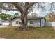 Side yard showcasing a mature tree providing shade and character to the property, complementing the home's exterior at 540 Diane Cir, Casselberry, FL 32707