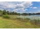 Scenic lake view with lily pads, grassy shoreline, and a backdrop of lush trees at 120 E Greentree Ln, Lake Mary, FL 32746