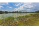 Picturesque lake view featuring lily pads, clear skies, and distant treeline at 120 E Greentree Ln, Lake Mary, FL 32746
