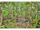 A wooded wetland area provides a natural setting and wildlife habitat at 1576 Crosswind Cir, Orlando, FL 32825