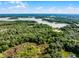 Expansive aerial view of lush greenery and a serene lake under a bright blue sky with scattered clouds at 4055 State Road 11, Deland, FL 32724