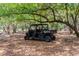 Picture of a black Polaris Ranger in a wooded area at 4055 State Road 11, Deland, FL 32724