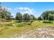 Pond with greenery surrounded by grassy yard at 4055 State Road 11, Deland, FL 32724