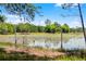 Scenic view of a lily pad covered pond on the property, framed by trees and natural growth at 4055 State Road 11, Deland, FL 32724