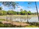 Picturesque pond with lily pads and surrounding mature trees, ideal for nature enthusiasts at 4055 State Road 11, Deland, FL 32724
