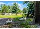 White domestic geese on a grassy property at 4055 State Road 11, Deland, FL 32724