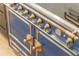Close-up of a blue and gold stove with brass knobs and decorative elements in a luxury kitchen at 5351 Carson St, St Cloud, FL 34771