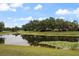 Peaceful pond view with lush greenery and lily pads, offering a serene natural setting at 6149 Blakeford Dr, Windermere, FL 34786