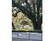 Scenic pond view framed by lush trees with Spanish moss at 109 Crown Oaks Way # 109, Longwood, FL 32779