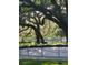 Picturesque pond view with mature trees and Spanish moss at 109 Crown Oaks Way # 109, Longwood, FL 32779