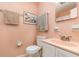 A cozy pink bathroom features a sink, toilet, and mirror at 2518 Fort Lane Rd, Geneva, FL 32732