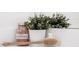 Close-up of bathroom decor, including bath salts and lush greenery, adding a touch of nature at 8080 Peaceful Cir, Sanford, FL 32771