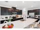 Bright kitchen featuring a spacious island, modern appliances, sleek countertops and dark wood cabinetry at 14357 Hidden Ct, Clermont, FL 34711