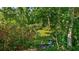 A pond covered with duckweed in the backyard, highlighting the property's natural surroundings at 287 Hilltop Dr, Longwood, FL 32750