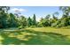 Expansive backyard showcasing a well-manicured lawn surrounded by lush, mature trees and foliage at 287 Hilltop Dr, Longwood, FL 32750