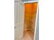 Spacious pantry with ample shelving for organized storage at 2983 Boating Blvd, Kissimmee, FL 34746