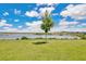 Lush green backyard with a lone tree and scenic lake view, perfect for outdoor activities and relaxation at 3280 Canna Lily Pl, Clermont, FL 34711