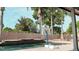 Backyard with a basketball hoop in the pool area and palm trees at 6198 Linneal Beach Dr, Apopka, FL 32703