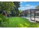 Backyard view with lush green grass adjacent to a screened in pool and playset at 1343 Charlotte St, Altamonte Springs, FL 32701
