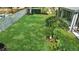 Well-manicured backyard featuring lush green grass, privacy fence, and mature trees for shade and beauty at 245 Via Siena Ln, Lake Mary, FL 32746