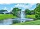 Community pond with a fountain and wildlife in a serene setting at 245 Via Siena Ln, Lake Mary, FL 32746