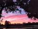 Beautiful sunset view with pink and purple colors in the sky and trees in foreground at 3460 Fairway Ln, Orlando, FL 32804