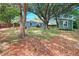 Spacious backyard featuring mature trees, a storage shed, and a partial view of the home's exterior at 5032 Timber Ridge Trl, Ocoee, FL 34761