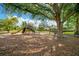 Neighborhood playground with slides, climbing structures, and a large shade tree at 608 Ashwell Ct, Debary, FL 32713
