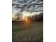 Large, grassy backyard at 725 Ashworth Overlook Dr # C, Apopka, FL 32712