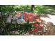 Backyard featuring a patio area under a tree at 238 Lake Dr, Orlando, FL 32835