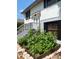 Charming home featuring a thriving garden with raised beds, offering a peaceful outdoor space at 238 Lake Dr, Orlando, FL 32835