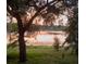 Scenic lake view framed by lush trees and foliage, creating a serene and peaceful atmosphere at 238 Lake Dr, Orlando, FL 32835