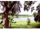 Serene lake view framed by mature trees, showcasing a tranquil and picturesque landscape, perfect for nature enthusiasts at 238 Lake Dr, Orlando, FL 32835
