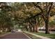 Scenic street view with mature trees draped in Spanish moss, creating a picturesque neighborhood setting at 911 S Oak Ave, Sanford, FL 32771