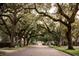 Beautiful street view with mature trees draped in Spanish moss, creating a picturesque neighborhood setting at 911 S Oak Ave, Sanford, FL 32771