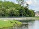 Scenic pond view with several ducks resting near the bank at 4010 Santa Maria Dr # 106, Kissimmee, FL 34741