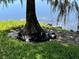 Scenic pond view with several ducks resting in the shade by the lake at 4010 Santa Maria Dr # 106, Kissimmee, FL 34741