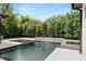 Inviting pool featuring a modern design with a fire feature, surrounded by lush greenery for ultimate privacy at 1211 Munster St, Orlando, FL 32803