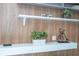 Stylish built-in shelving adorned with decorative plants and design elements at 4414 Le Reve Ct, Kissimmee, FL 34746