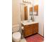 Bathroom with toilet, vanity with cabinet, and a large mirror at 596 Starstone Dr, Lake Mary, FL 32746