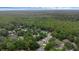 An aerial view of the neighborhood, showcasing the lush green landscape and homes at 1610 Owl Ridge Ct, Apopka, FL 32712