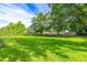 Expansive backyard with lush green lawn and mature trees at 2538 Carter Grove Cir, Windermere, FL 34786