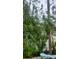 Residential lot featuring peach trees planted alongside the fence at 2832 Buccaneer Dr, Winter Park, FL 32792
