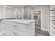Customizable walk-in closet features drawers, shelves and hanging areas at 31792 Broadwater Ave, Leesburg, FL 34748